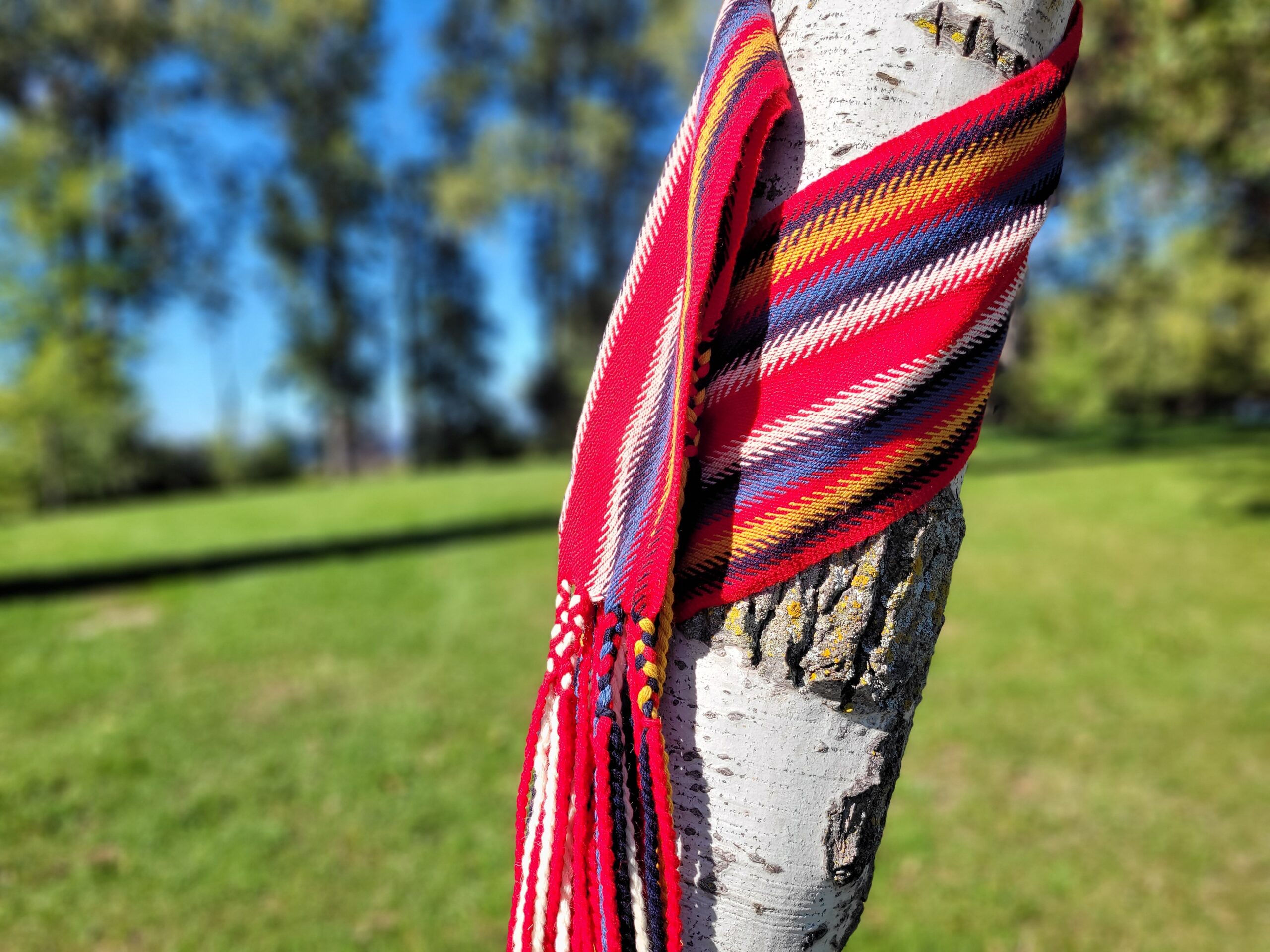 Métis Disabilities Support Program