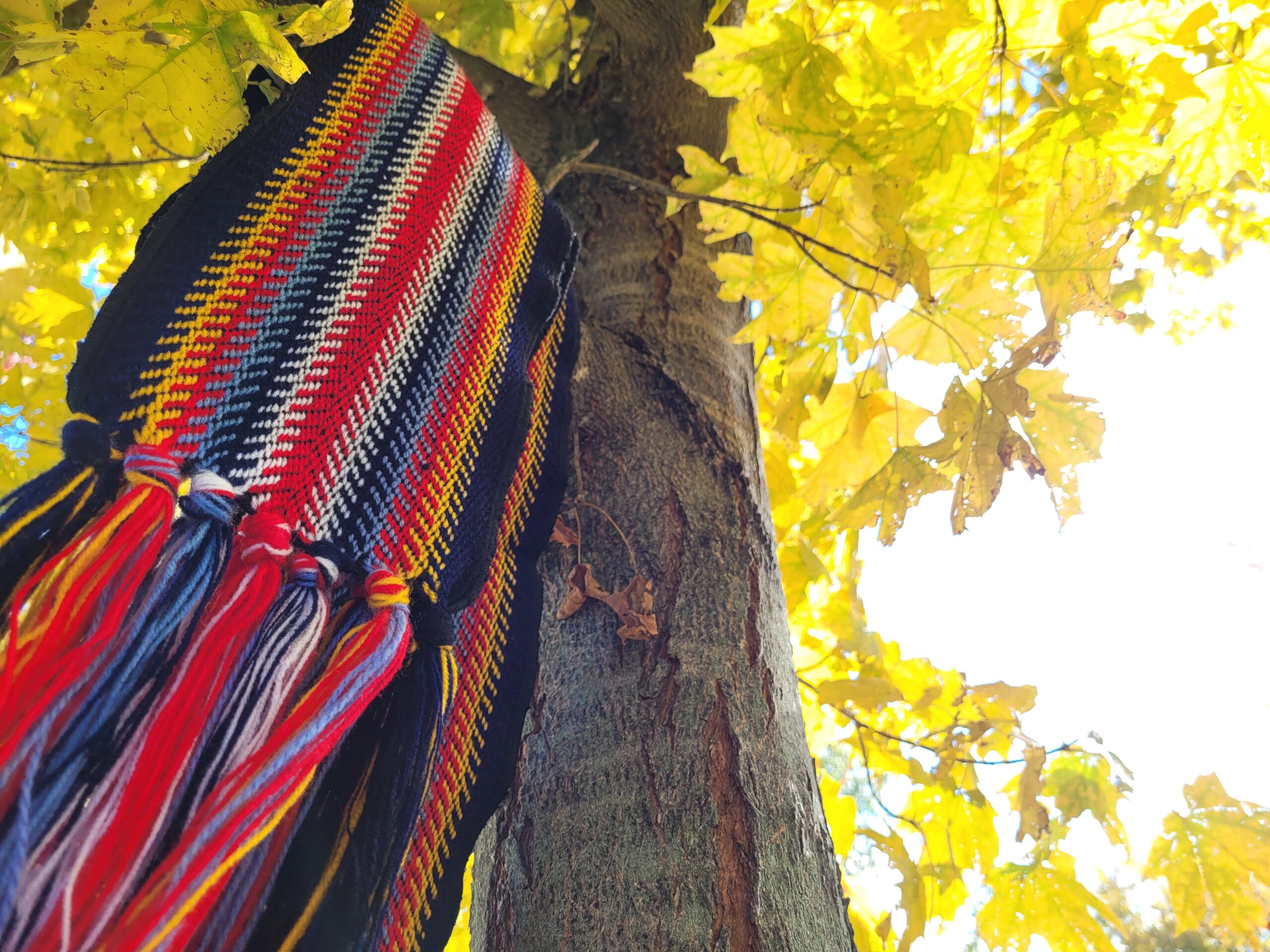 NOSM Indigenous Stream Info Session