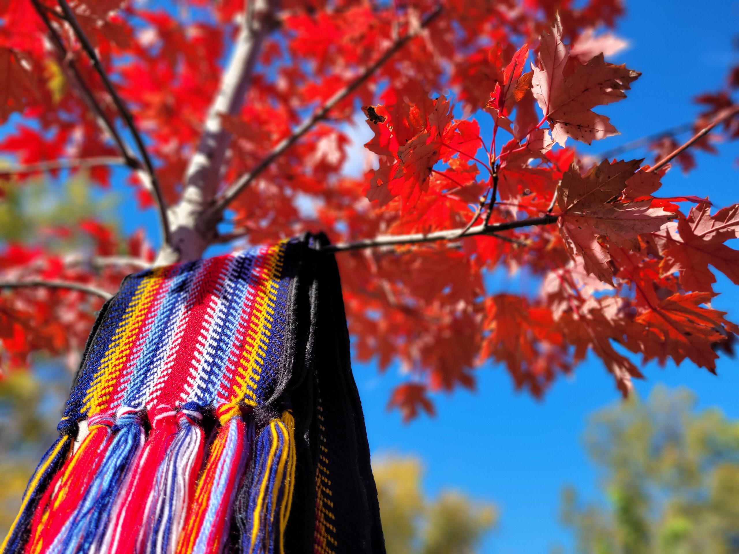 Indigenous Student Symposium