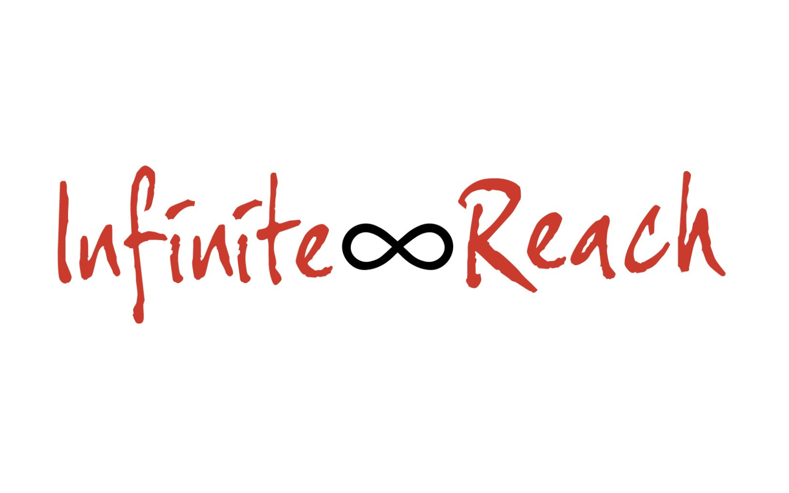 Infinite Reach Student Solidarity Network