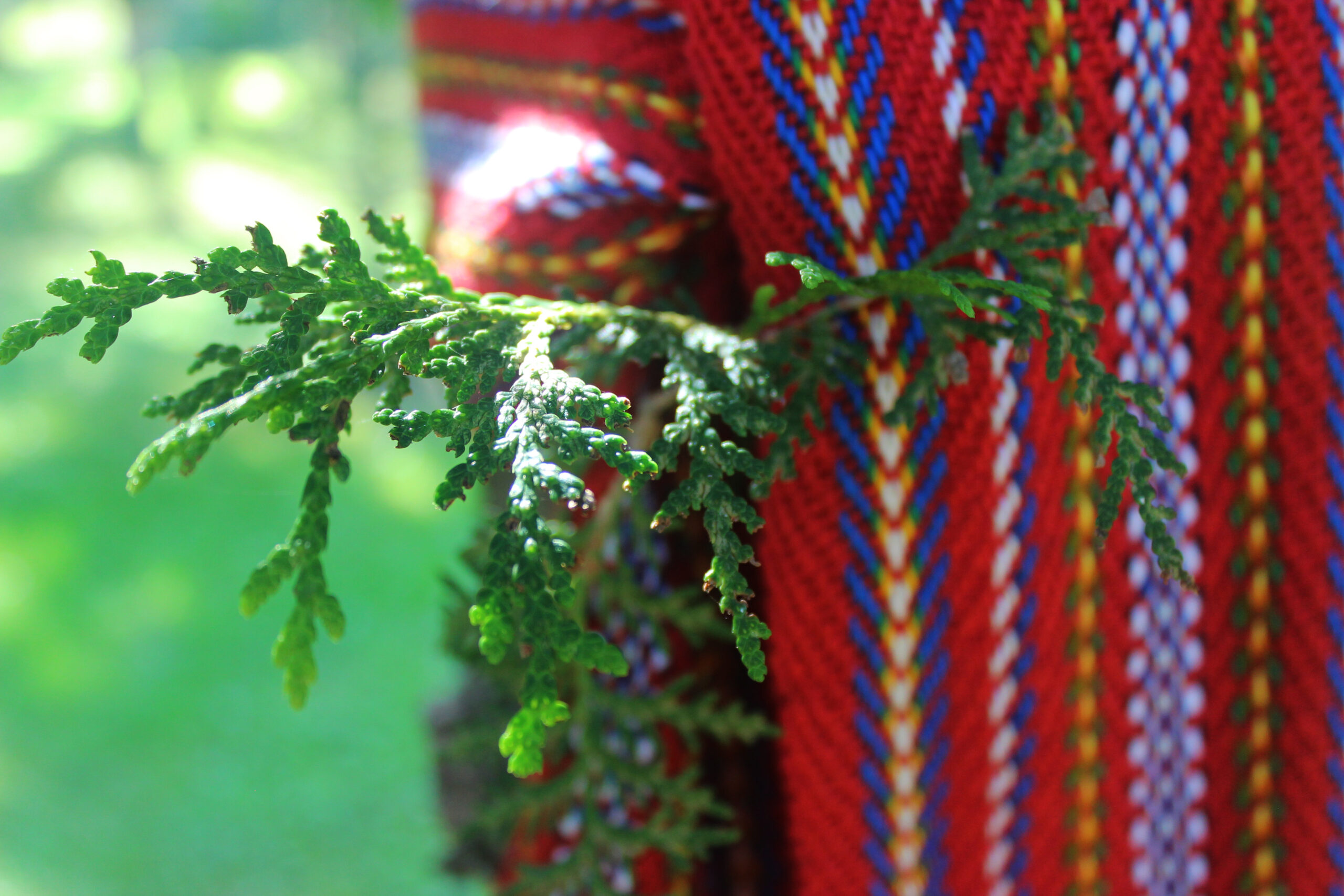 Métis Training Purchase Program