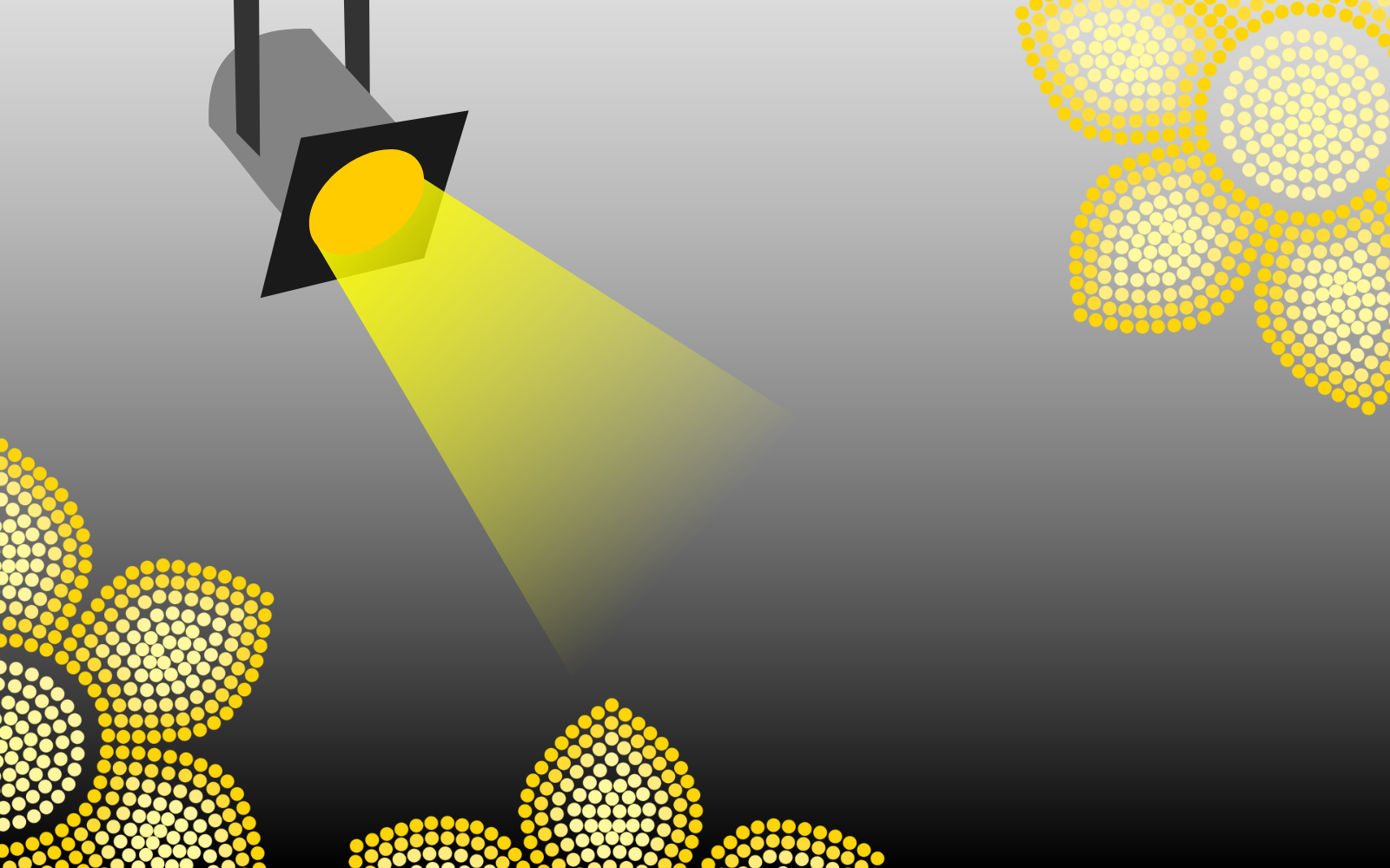 Spotlight Submission Form