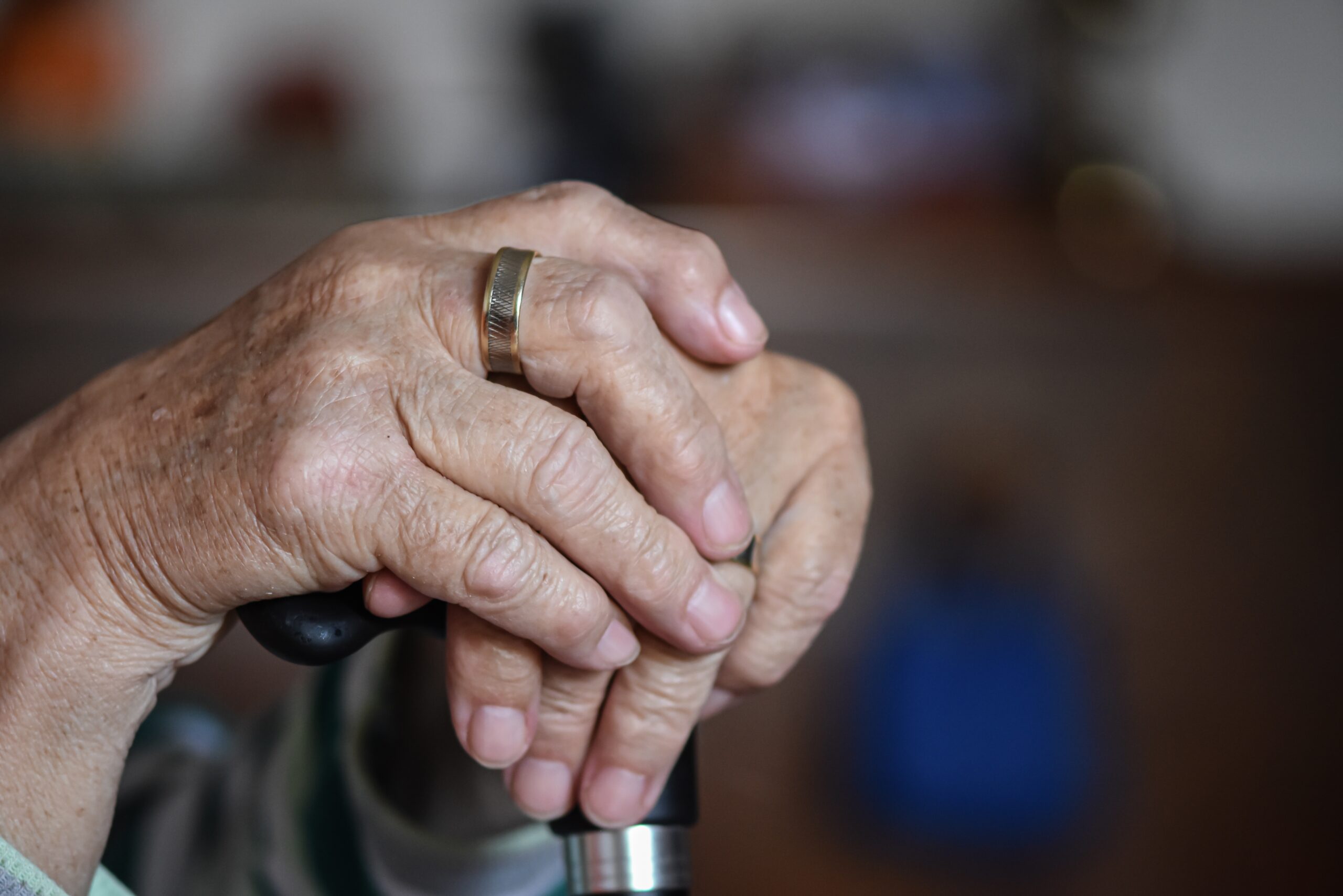 Aging at Home Program