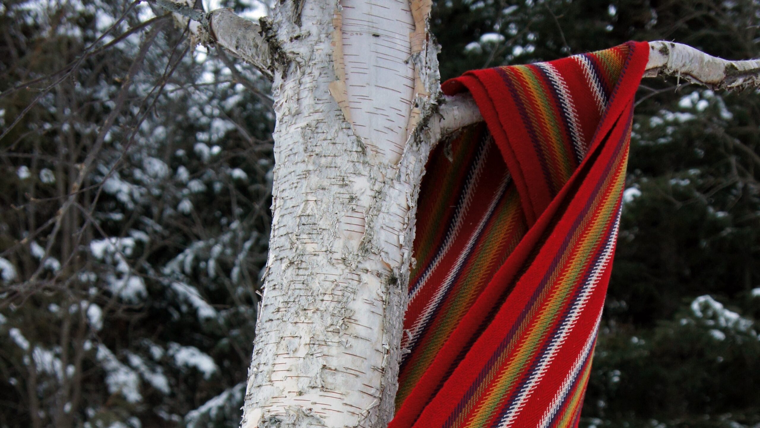 Métis Youth Program