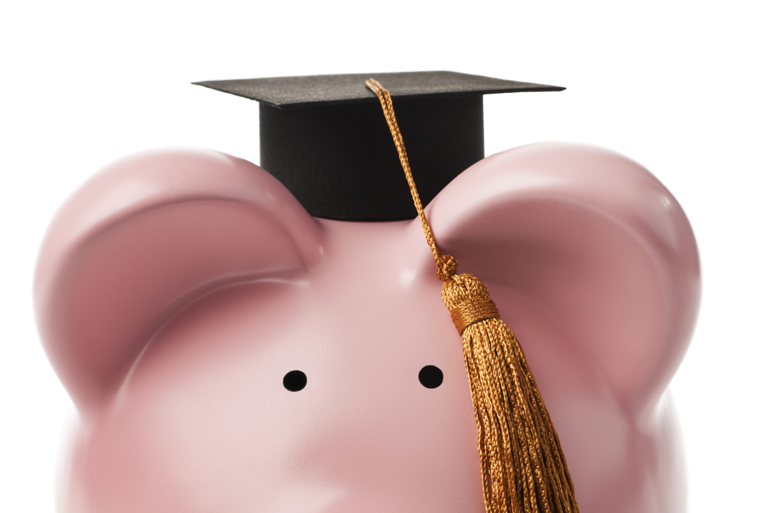 Government of Canada Indigenous Bursaries Search Tool