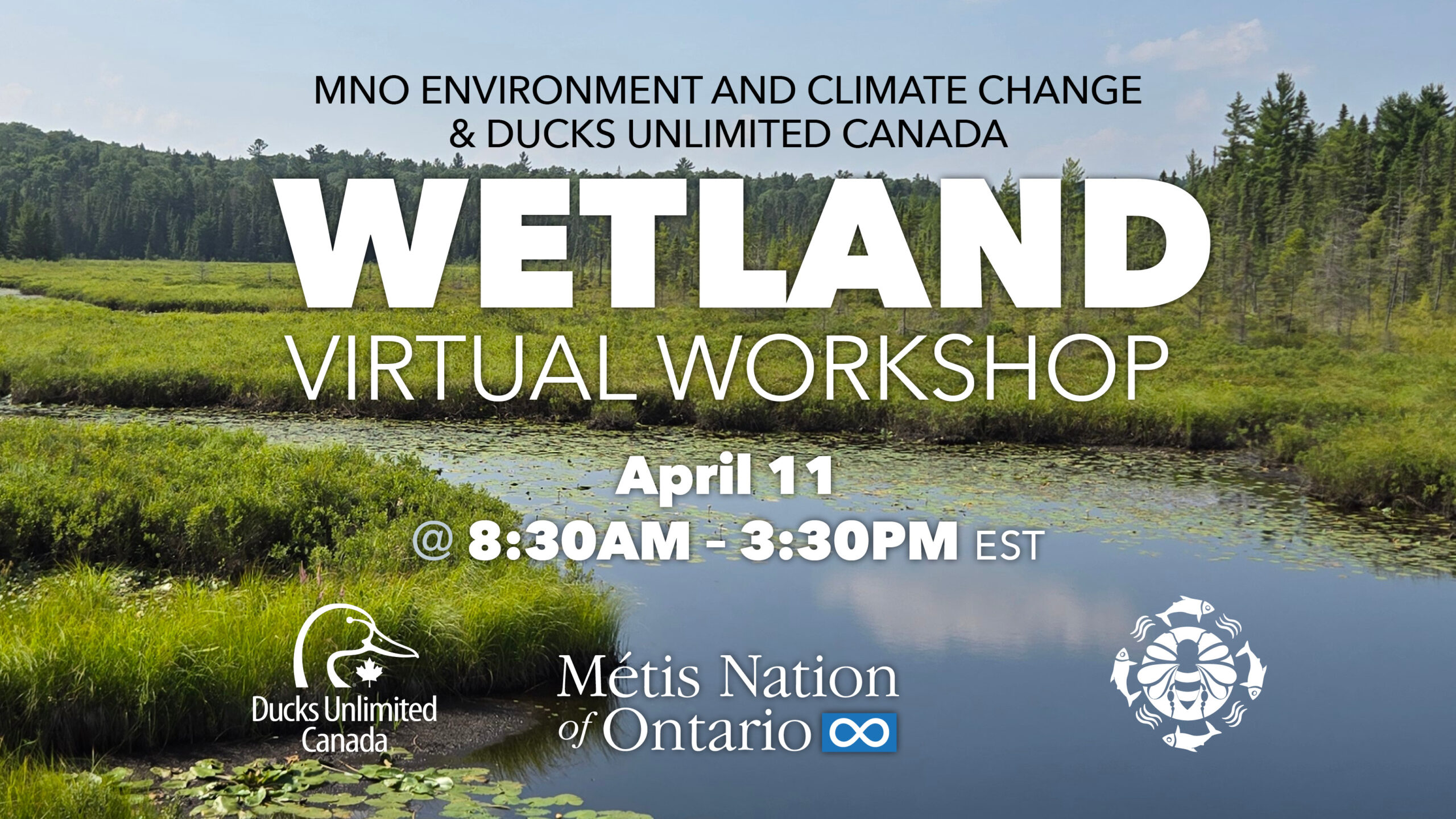 Wetland Training Workshop